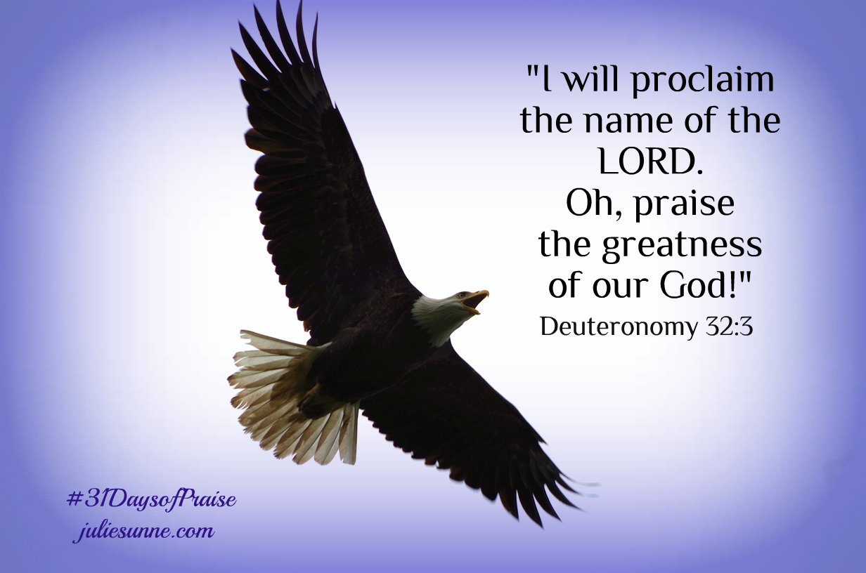 proclaim-his-name-31daysofpraise-julie-sunne