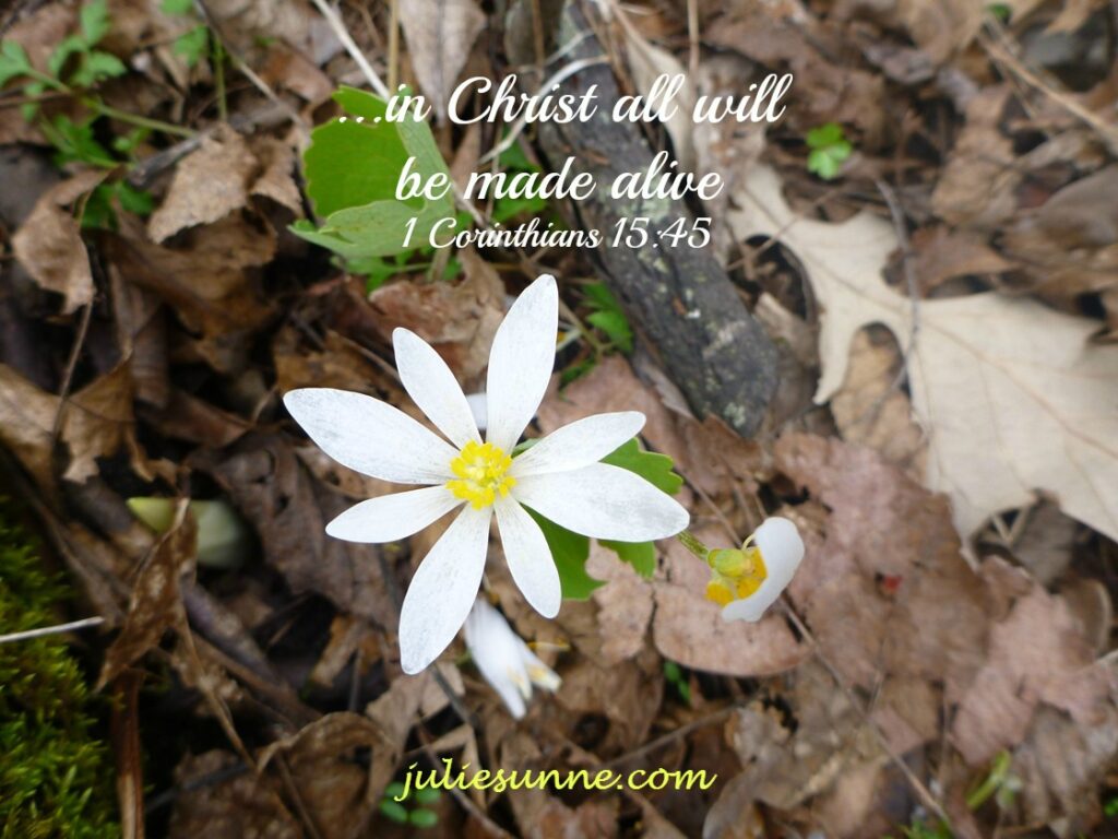 in Christ made alive