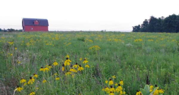 barn and prairie