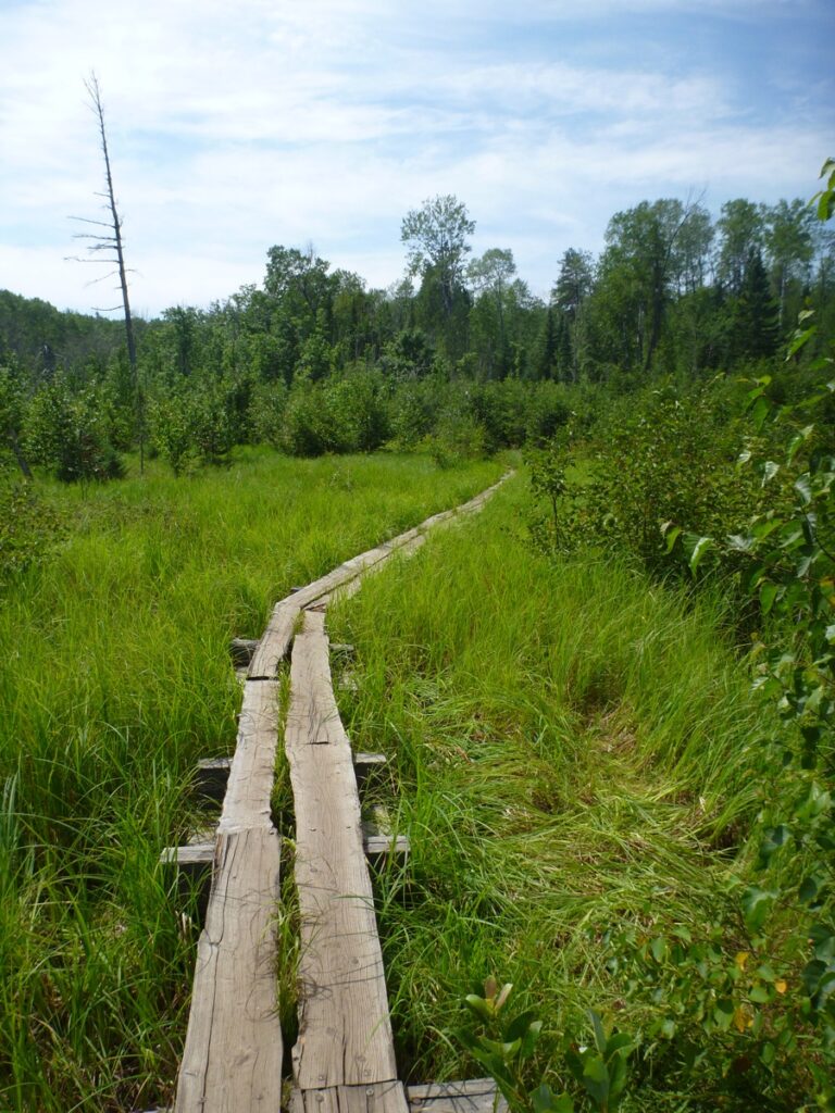 plank path