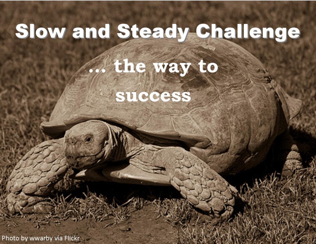 tortoise to success