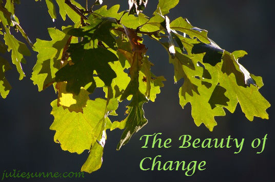 beauty_of_change