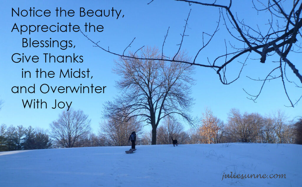 winter_beauty-