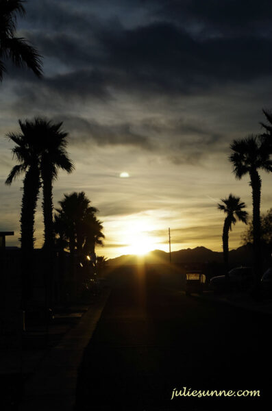 AZ Tropical sunset1