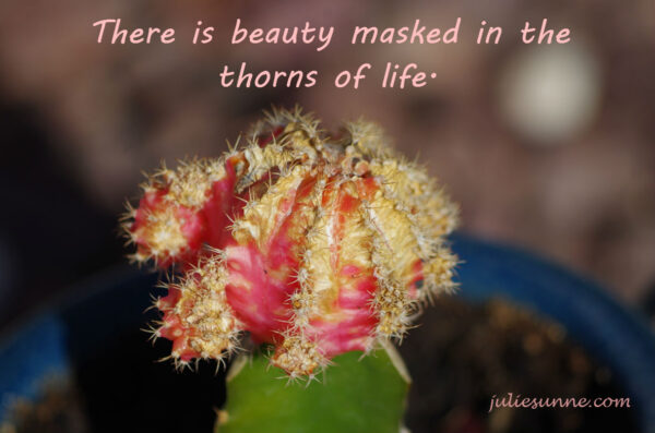 AZ cactus beauty maskedin thorns