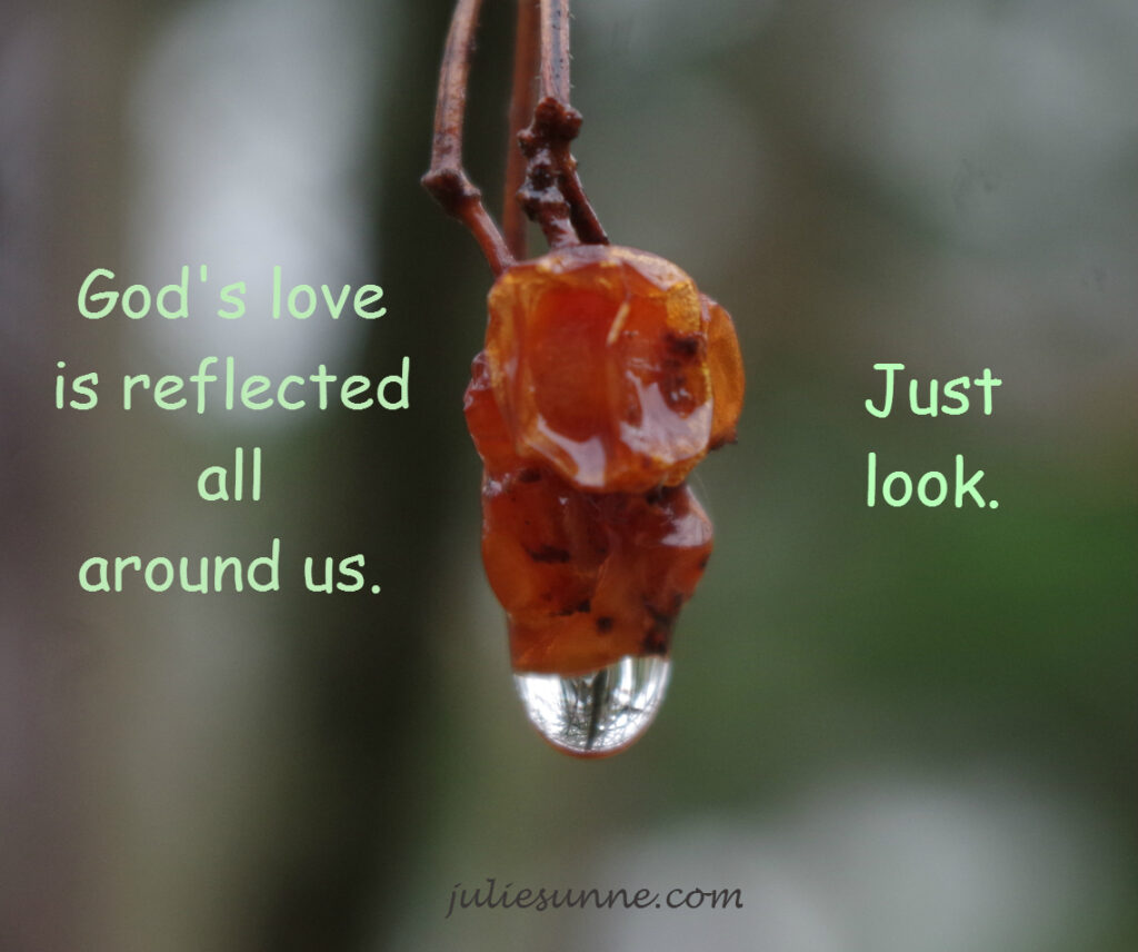 God'slovereflected-