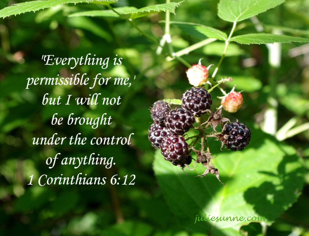 everything-permissible-but-not-under-control-