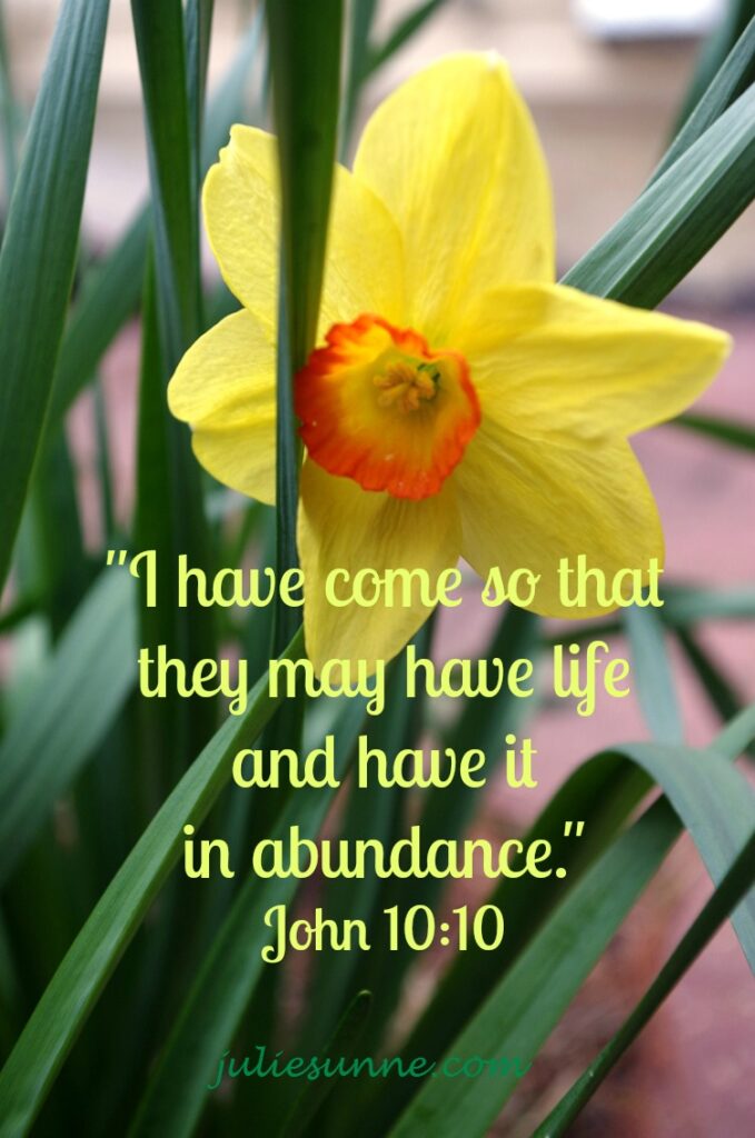 life-in-abundance-