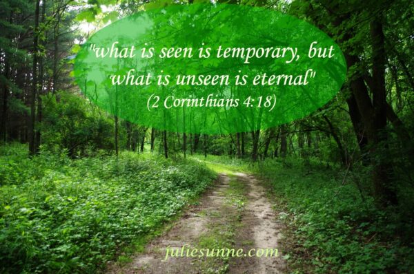 what is seen is temporary