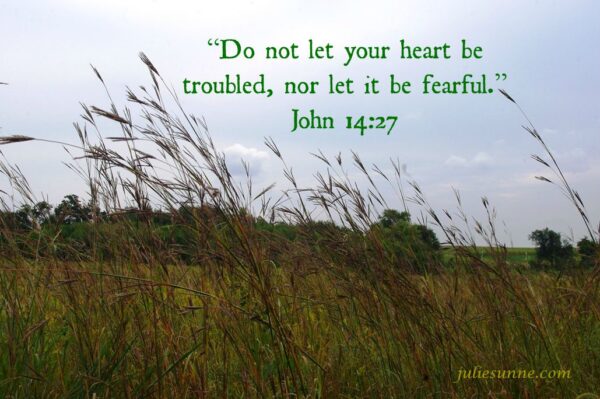 not troubled or fearful