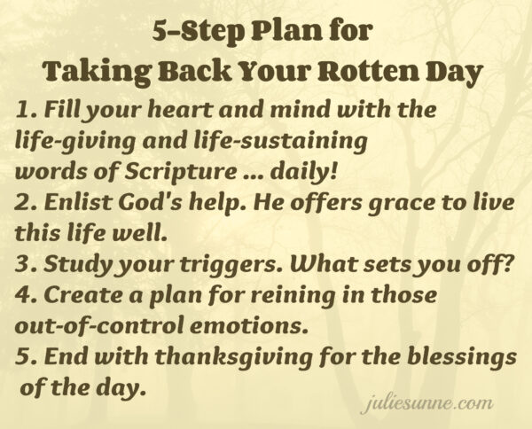 5 Step Plan for Rotten Day