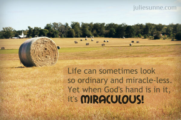 miraculous life2