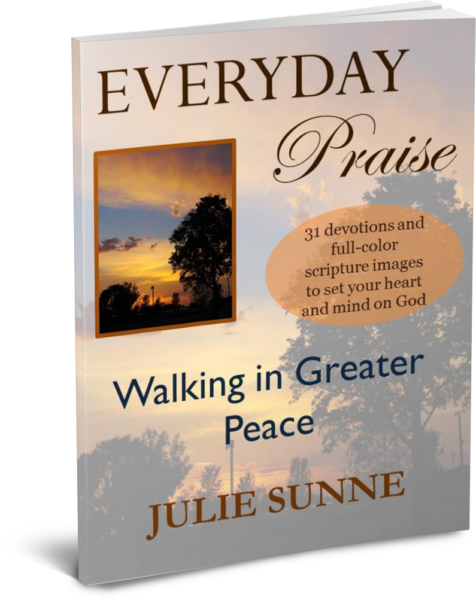 Everyday Praise Devotional by Julie Sunne