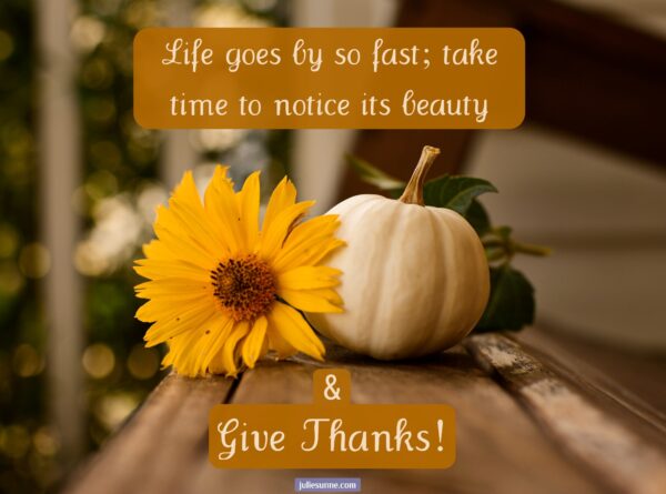 notice beauty give thanks 2