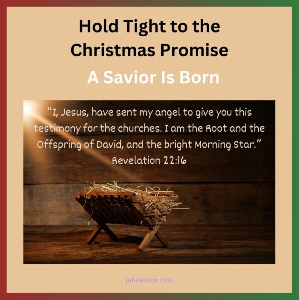 Hold Tight to the Christmas Promise for Instagram