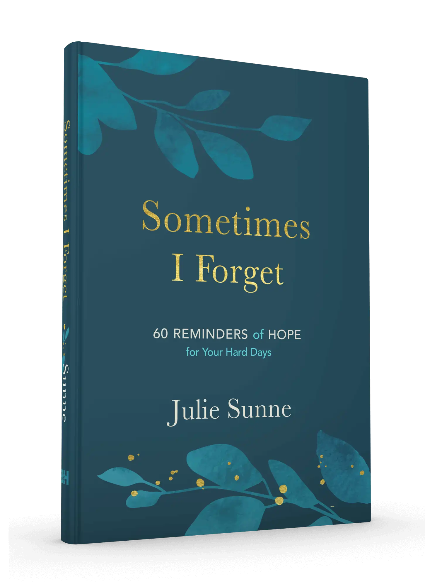 Sometimes I Forget by Julie Sunne