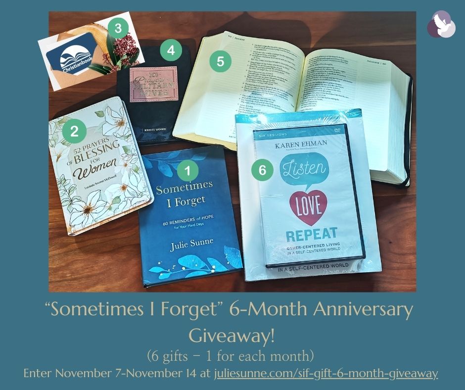 Sometimes-I-Forget-6-month-giveaway-1