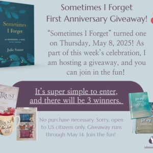 Sometimes I Forget giveaway